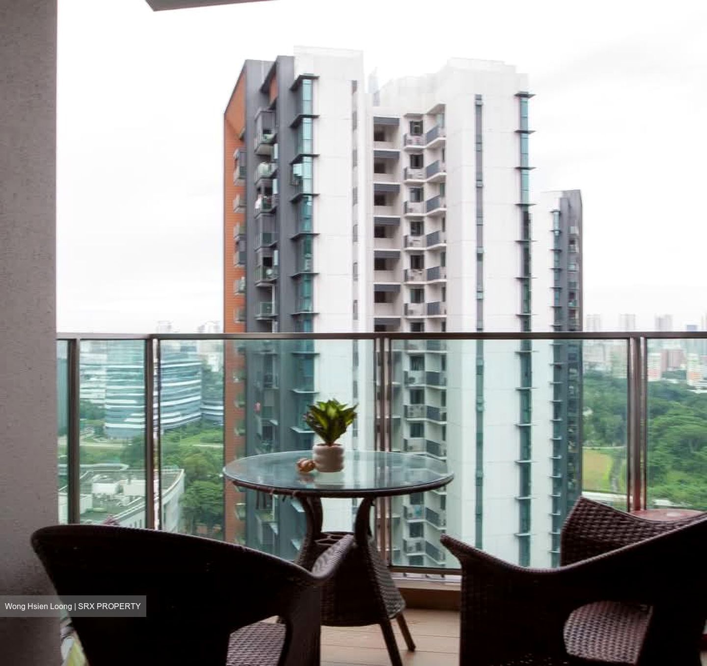 Normanton Park (D5), Apartment #569299011